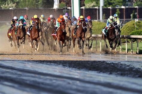 derby odds 2017|Kentucky Derby 2017 results: Full finishing order for Run for the Roses.